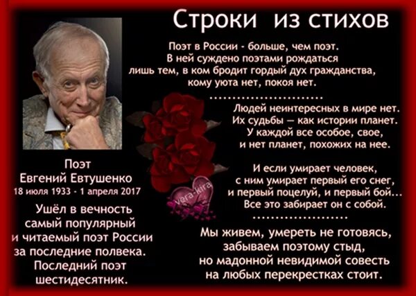 Стихотворение Евтушенко. Стихи поэтов. Евтушенко поэт стихи. Стих дай Бог.