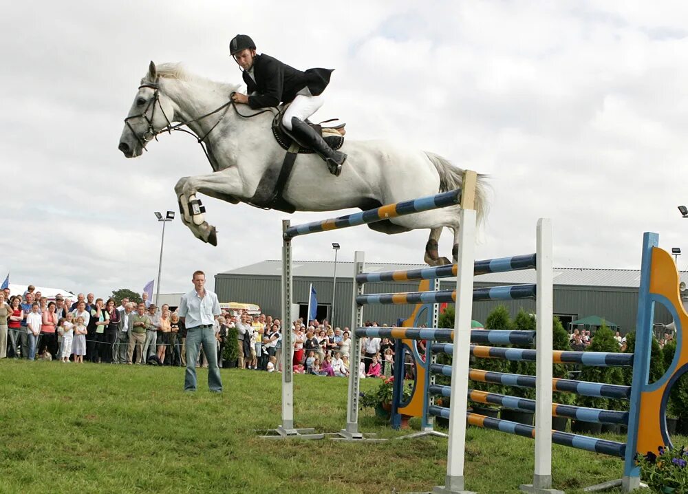 160 лошадей. Альберто Ларрагибель рекорд конкур. Лошадь прыгает. Прыжки на лошади через барьер. Самый высокий прыжок на лошади.