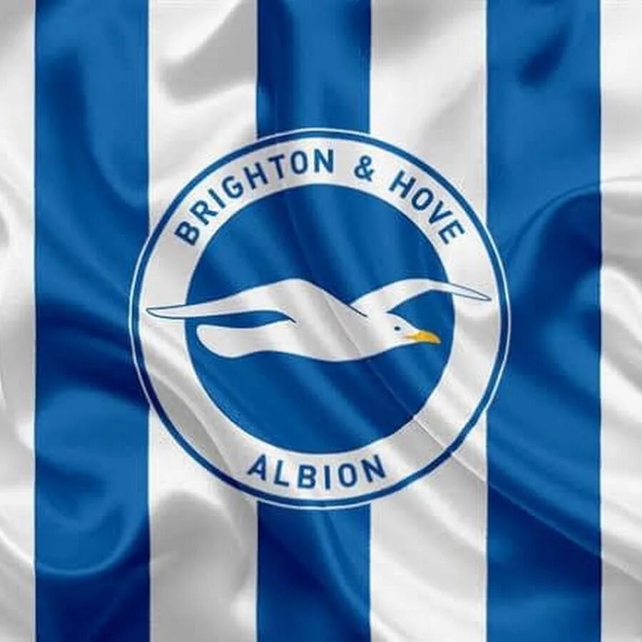 Хоув альбион. Брайтон энд хоув альбион. брайтон фк эмблема. brighton and hove albion. брайтон энд хоув альбион эмблема.