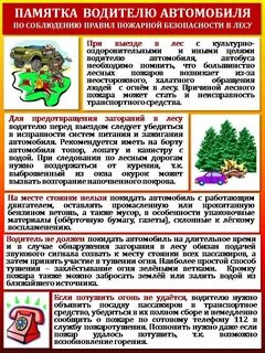Правила поведения во время пожара в лесу