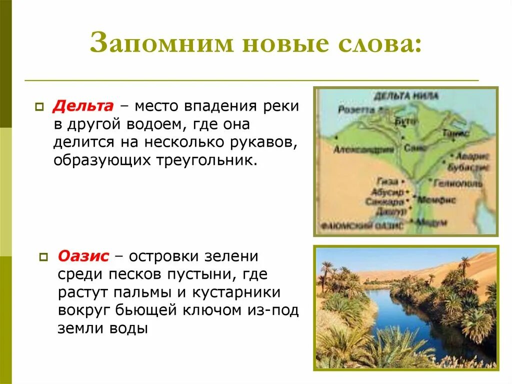 Значение слова республика история 5. Дельта это в истории 5 класс. Дельта определение 5 класс. Дельта это в истории 5 класс Египет.