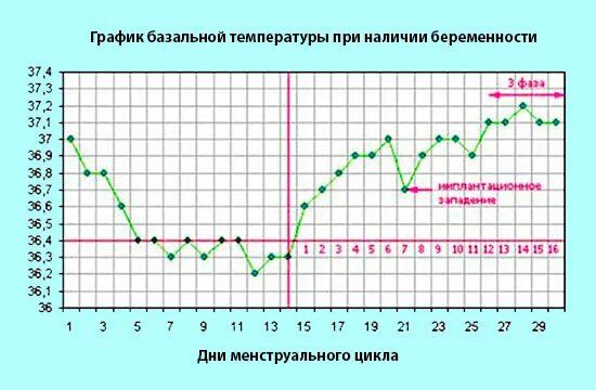 Температура во втором цикле. Базальная температура 37.1 25 день цикла. График БТ при 28 дневном цикле. Температурный график менструационного цикла. График базальной температуры не беременной с 30 дневным циклом.