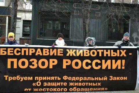 Закон об ответственном отношении