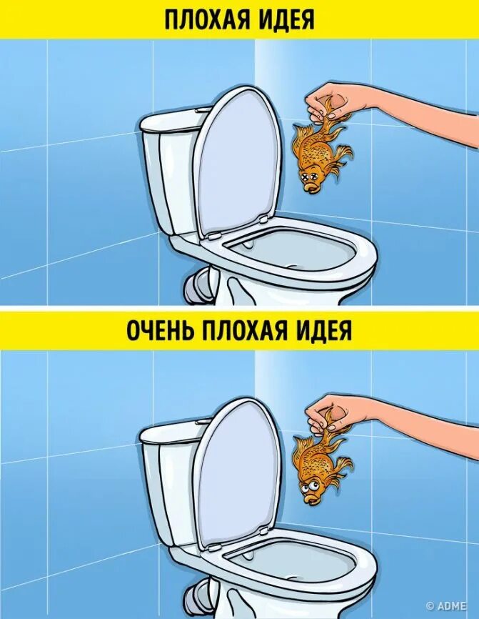Смыть клеща в унитаз. Вещи для туалета. запрещено выбрасывать в унитаз. что нельзя бросать в унитаз.