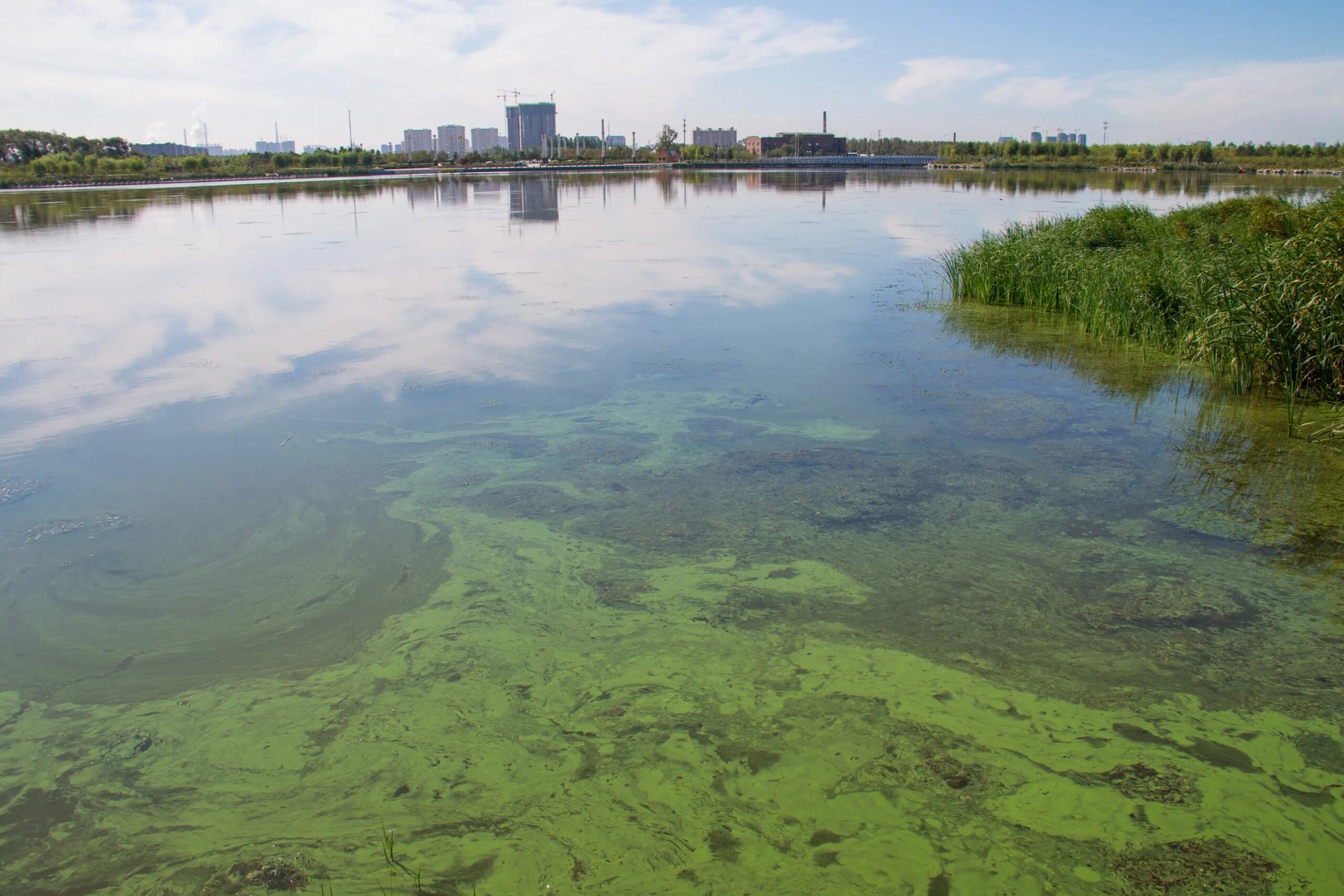 Река ямуна в индии. Читарум река на карте. Река читарум. Загрязнители реки. Загрязнители реки.