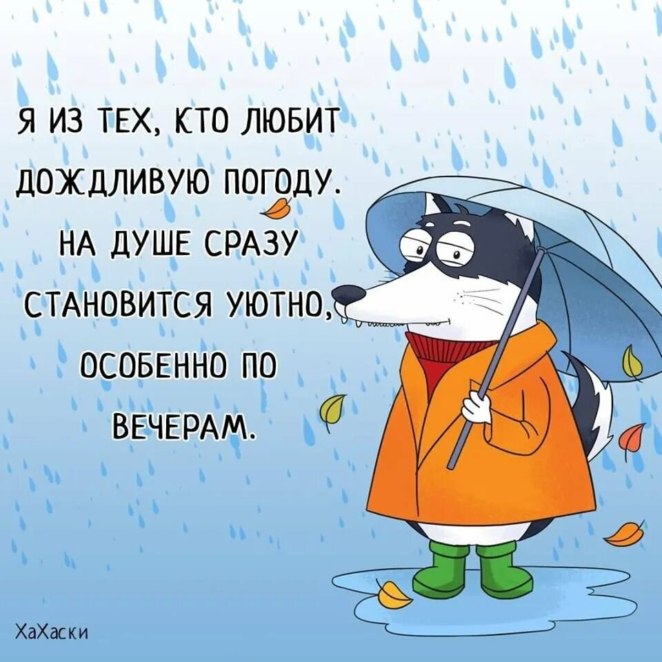 Смешные фразы про дождь. Смешные цитаты про дождь. Смешные цитаты про погоду. Плохая погода. Мысли о погоде и настроении