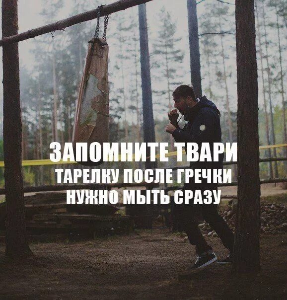 Запомните твари мем. Запомните твари. запомните твари тарелку после гречки. запомните твари я забыл.