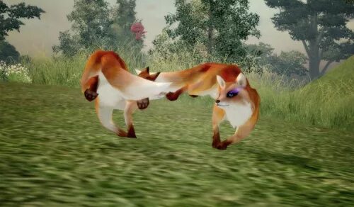 Wild Fox 3D - Последняя Версия Для Android - Скачать Apk