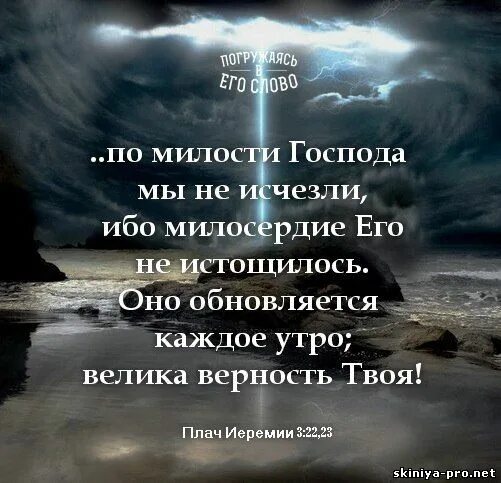 номер заказа пример. обновляются каждый день. обновляются каждый день. милосердие божие обновляется каждое утро. обновляются каждый день.