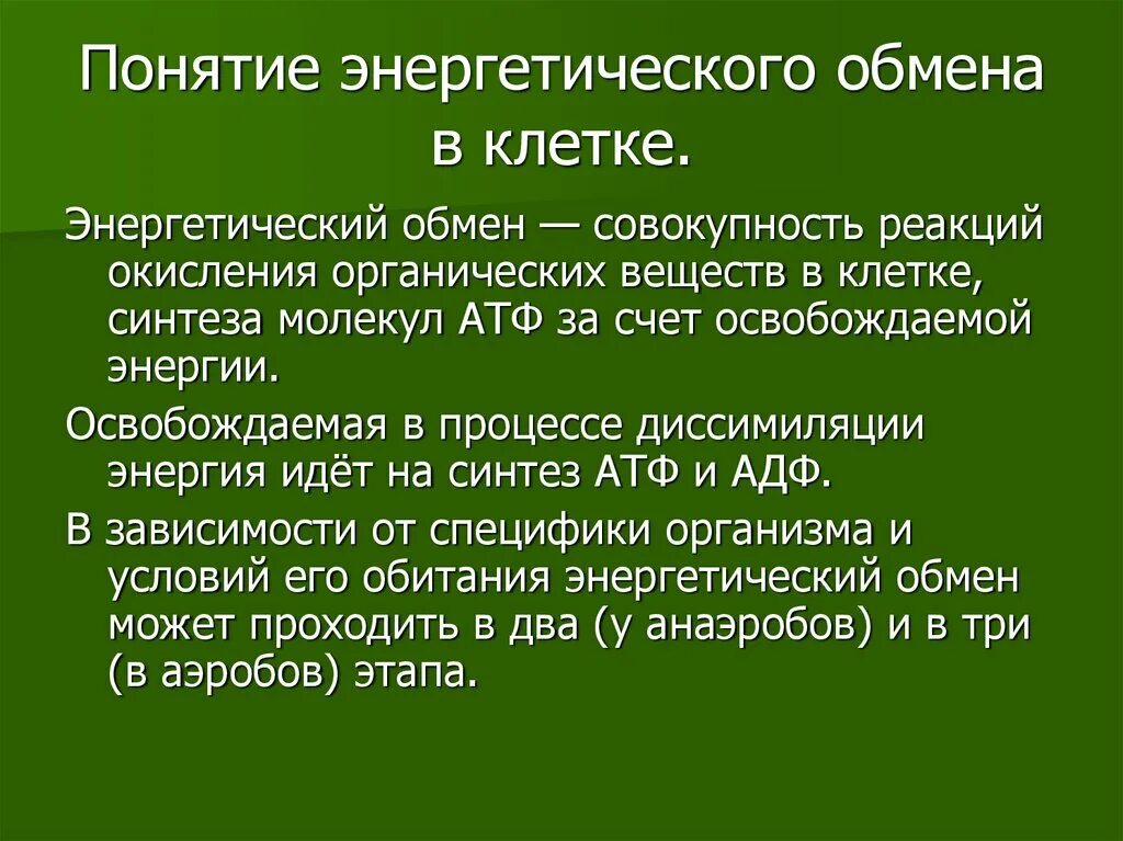 Энергетическим обменом является. Энергетическийоьмен в клетке. Процессы энергетического обмена. Энергетический обмен это в биологии. Понятие об энергетическом обмене.