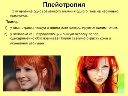 Значение слова рыжеватый