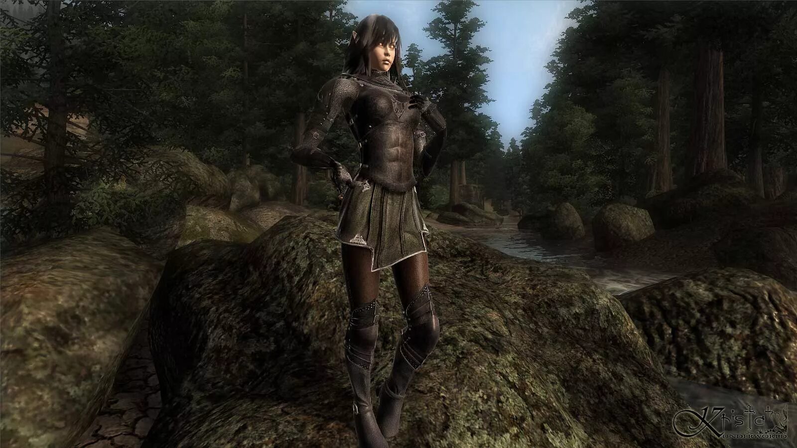 The elder scrolls oblivion моды. Oblivion HGEC Armor. Oblivion кожаная броня. The Elder Scrolls 4 Oblivion Нерим. Броня и одежда Oblivion 4.