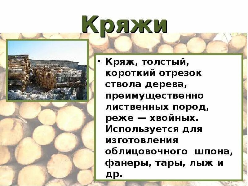 Работа кряж. Кряж древесины это. кряж лесоматериал. кряж ствола. древесный кряж это.