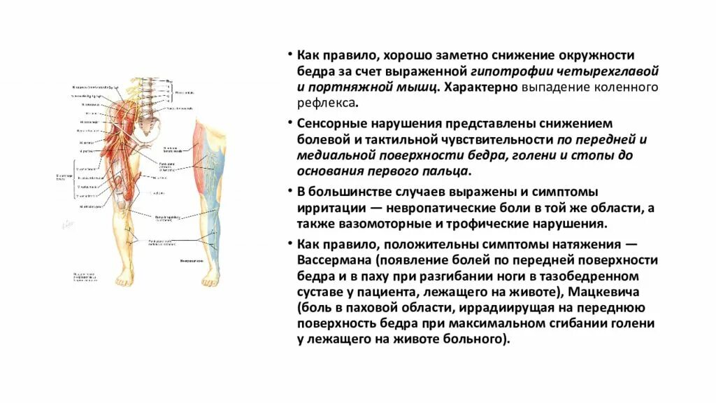 Невропатия наружная бедра. Туннельные невропатии нижних конечностей. Компрессионно ишемические невропатии нижних конечностей. Туннельные синдромы нижних конечностей презентация. Туннельных невропатий верхних и нижних конечностей.\.