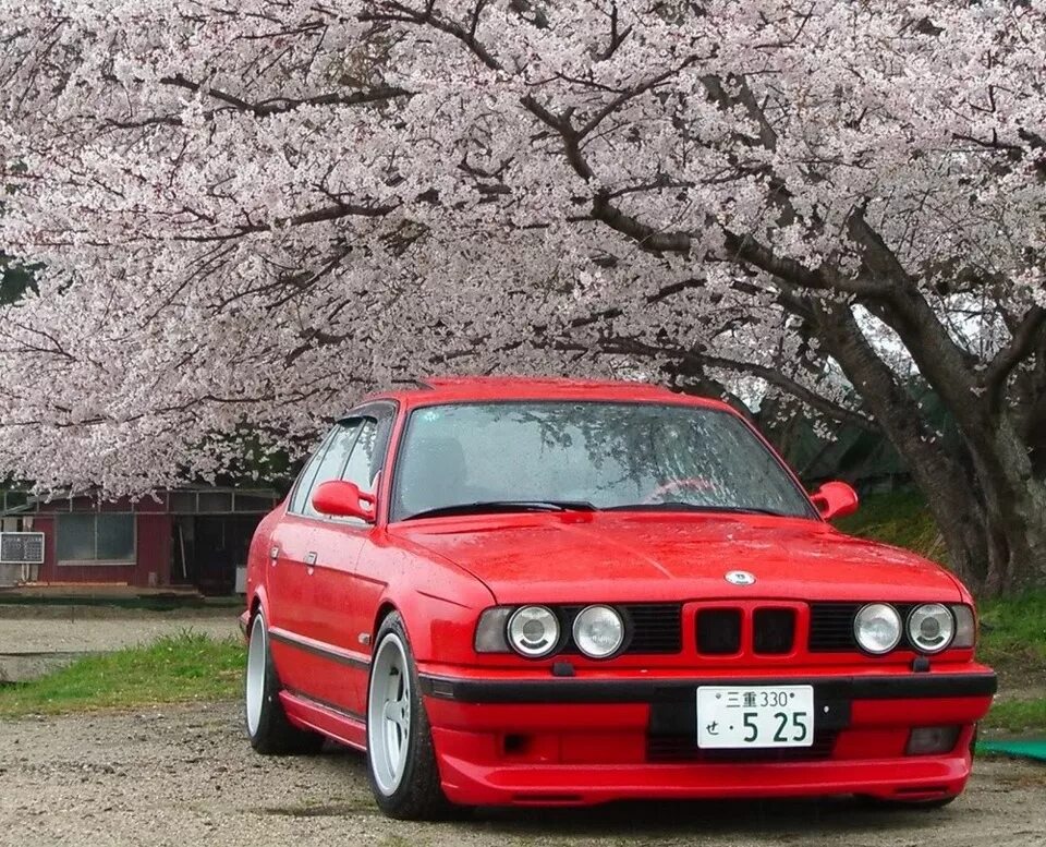 BMW e34. BMW e34 красная. BMW m3 e34. BMW m5 e34 Red. Купить бмв из японии