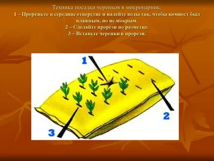 Техника посадки