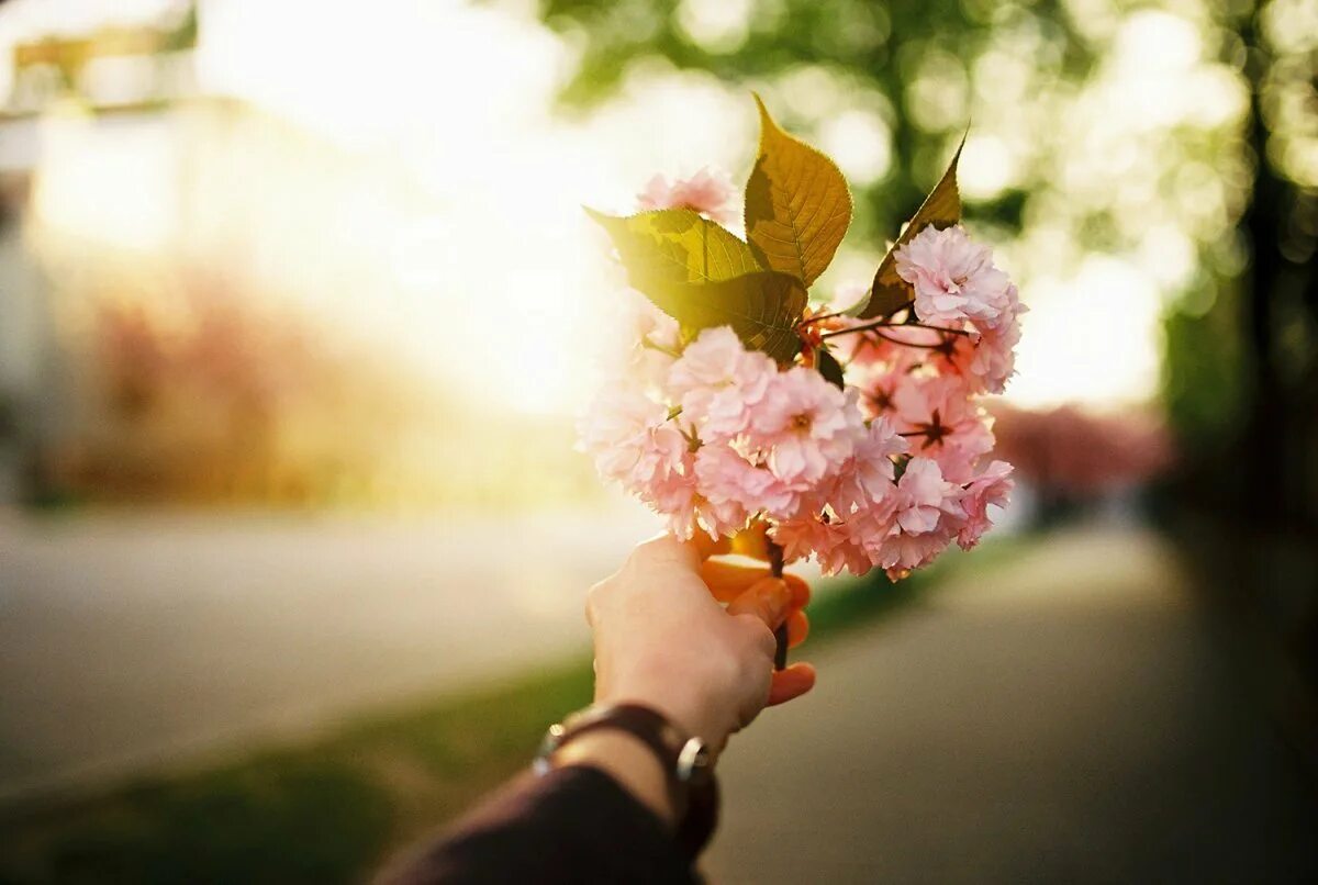 Руки цвета весны. Весенние цветы в руках. Цветок на руку.. Нежные цветы в руках. Красивые весенние цветочки в руке.