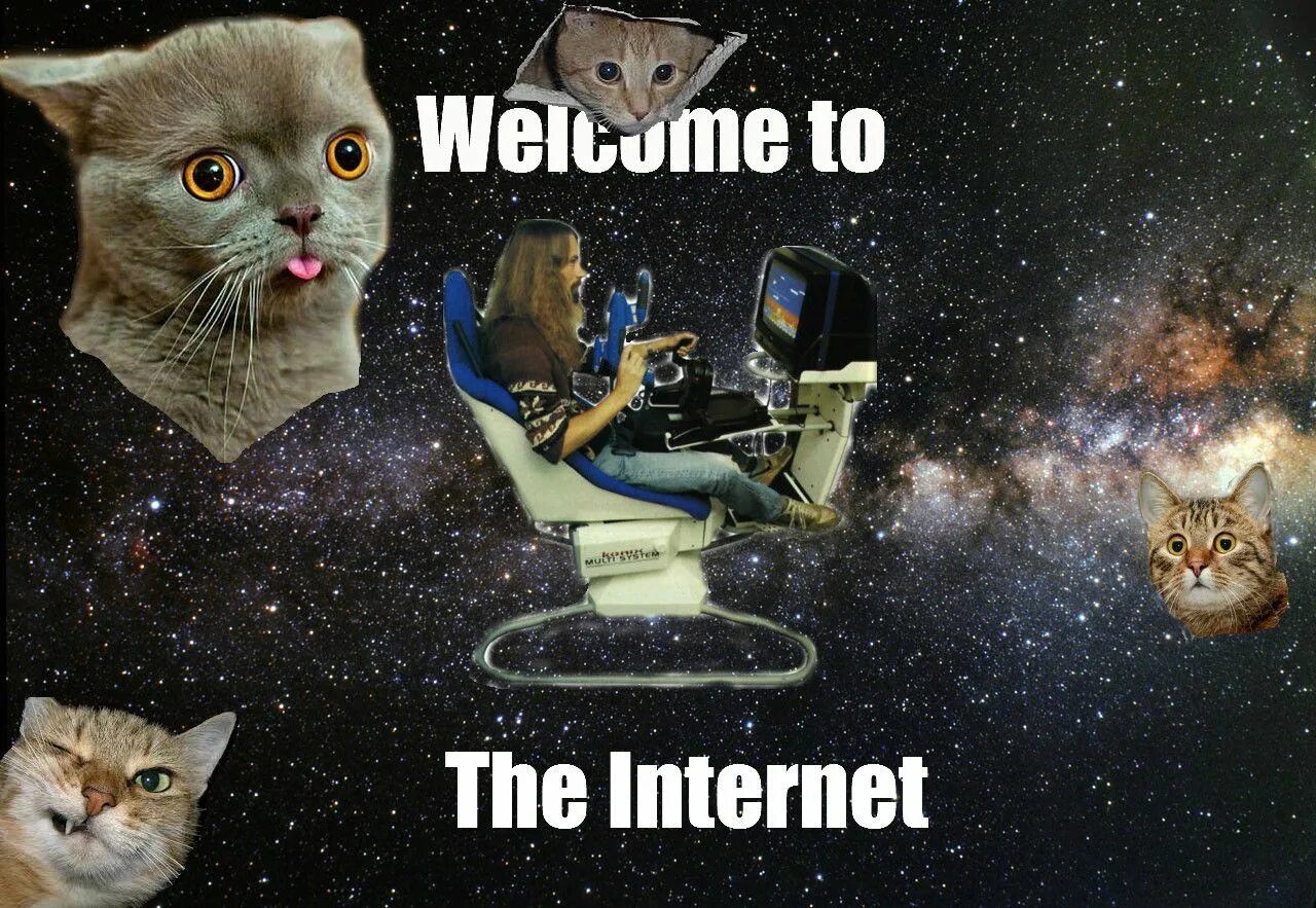 Welcome to the Internet. Welcome to the Internet please follow me. Кот Мем Welcome to the Internet. Картинка Welcome to Internet. Welcome to the internet песня