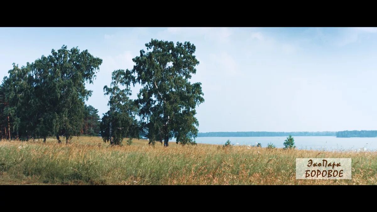 Боровое в новосибирске. Обское водохранилище боровое. Село боровое новосибирская область. Нептун боровое новосибирск. Нептун боровое новосибирск.