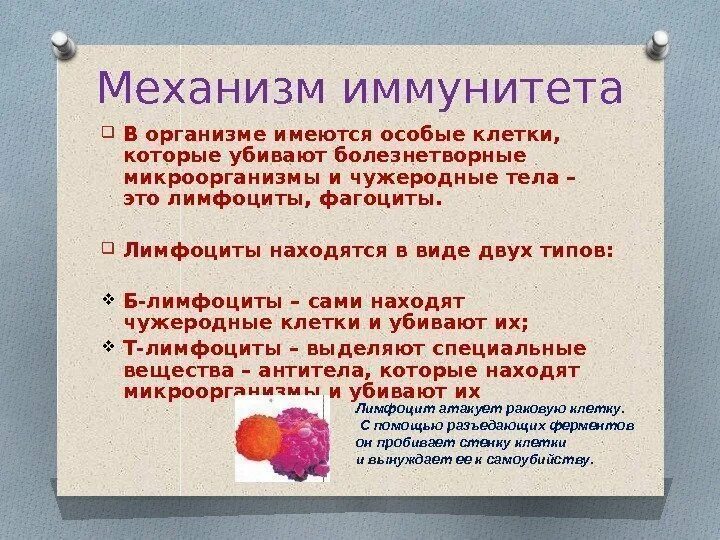 Также имеется и специальное. Иммунитет нарушения иммунной системы человека вакцинация. Механизмы иммунитета 8 класс. Иммунитет нарушения иммунной системы человека вакцинация 8. Иммунная система иммунитет 8 класс биология.