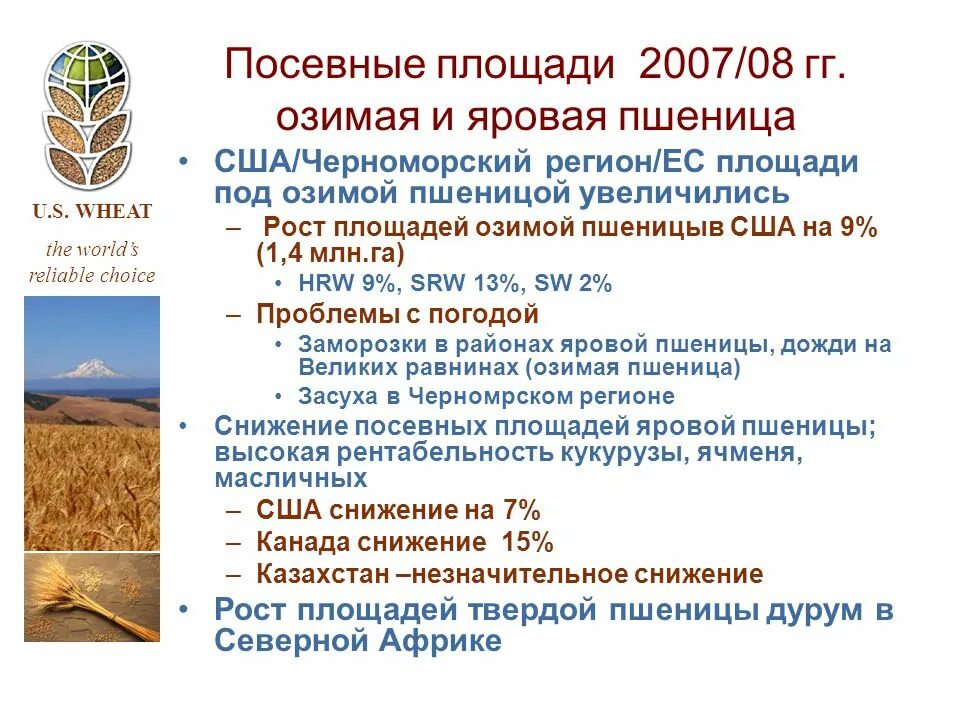 Правила посадки овса. Зона 2 степь возделывание яровой пшеницы. Технология возделывания яровой пшеницы. Яровая районы выращивания. Районы возделывания пшеницы.