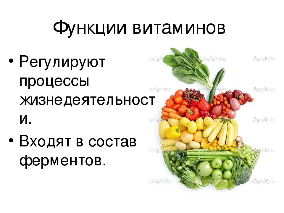 Функции витаминов в организме человека. Функции витаминов схема. Основные функции витаминов. Общие функции витаминов в организме.