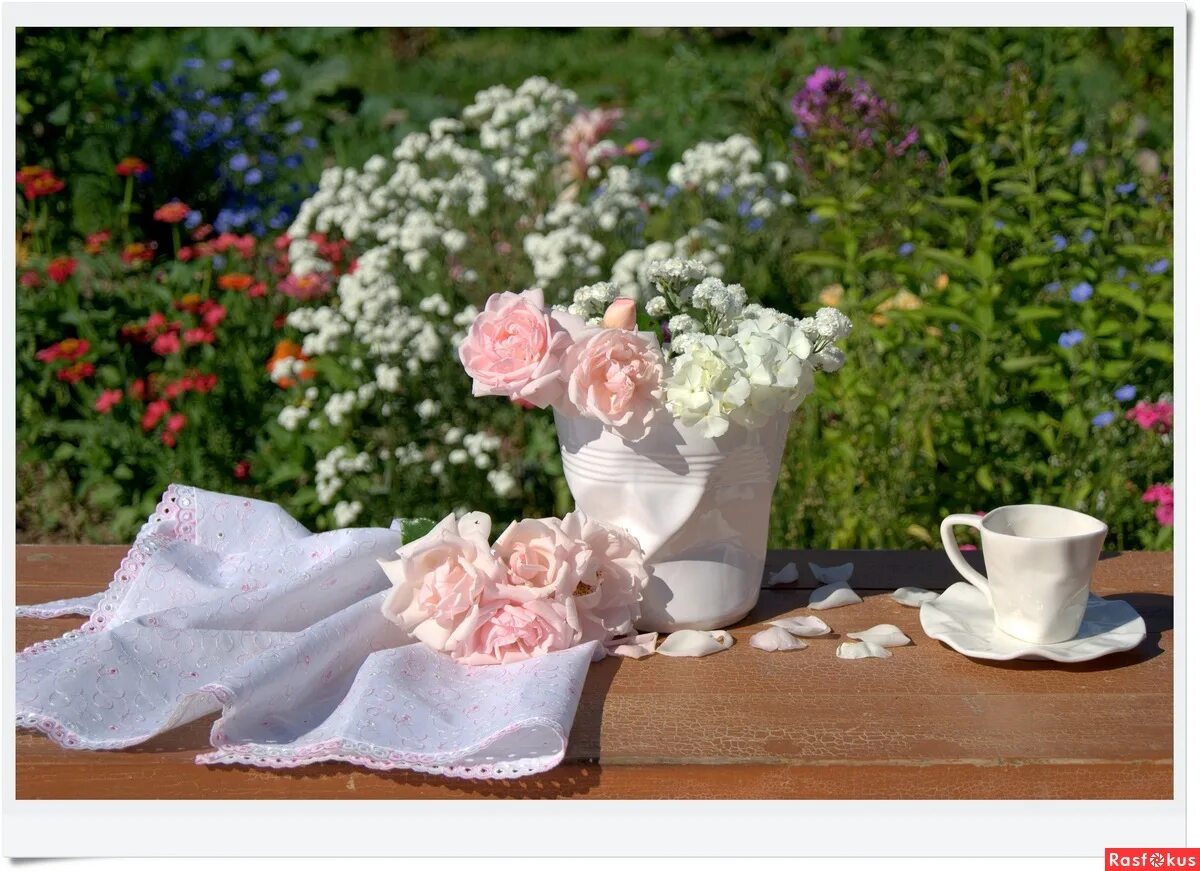 нежные розовые цветы. нежный цветок. красивая женщина с цветами. нежное очарование. изящные цветы.