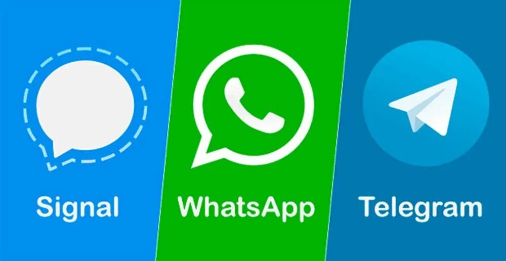 Ярлык ватсап. Ват. Signal whatsapp. Гудки вацапа. Thule signal телеграм.