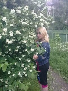 Мое щекино