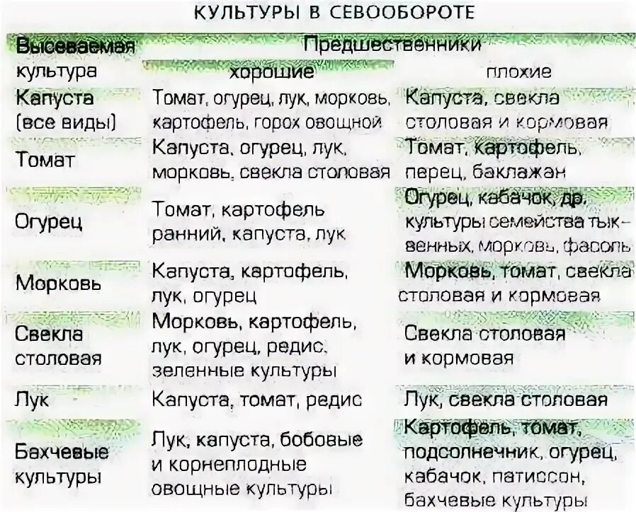 Можно ли сажать лук после капусты. Таблица севооборота овощных культур и сидератов. Севообороты предшественники овощных культур. Посадка овощей предшественники таблица. Таблица севооборота овощных культур на огороде предшественники.