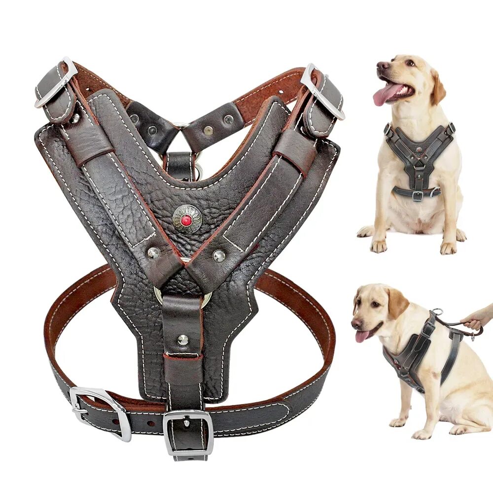 Купить крупную собаку. Шлейка для собак Refl Dog harness. Шлейка для алабая кожаная. Шлейка big Ears Dog. Шлейка Жиллет для собак крупных пород..