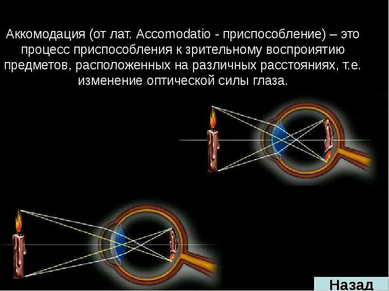 Аккомодация структуры глаза. Строение глаза. аккомодация это в офтальмологии. устройство глаза. изменение оптической силы глаза.
