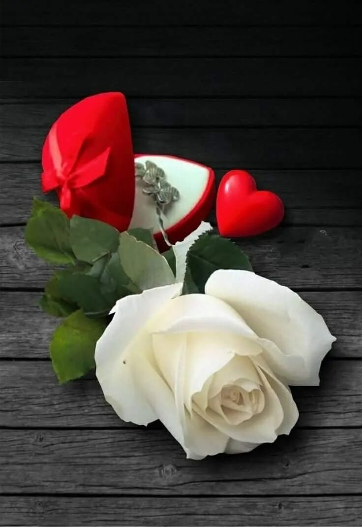 Открытки розы любимым. Цветы для любимой. Цветы романтика. Романтические розы. Розы в сердце.