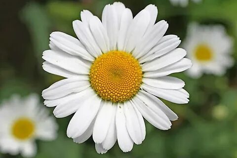 Жас шлюхалар секс видео онлайн