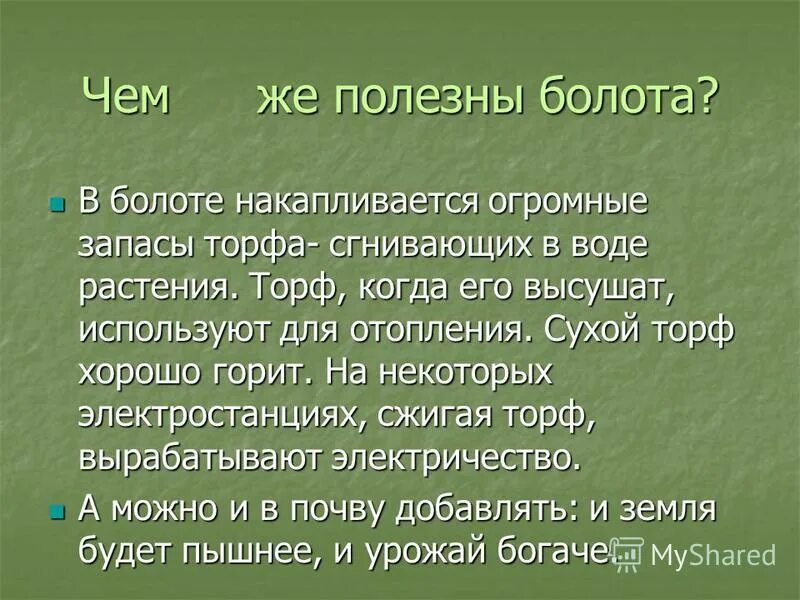 вывод исследовательской работы о болоте. плюсы болот. краткая характеристика болот. плюсы и минусы осушения. причины осушения болот.