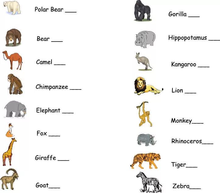 Английский язык 3 класс дикие животные. Животные на английском задания. Задания английский английский животные. Английский задания для детей Zoo. Дикие животные на английском.