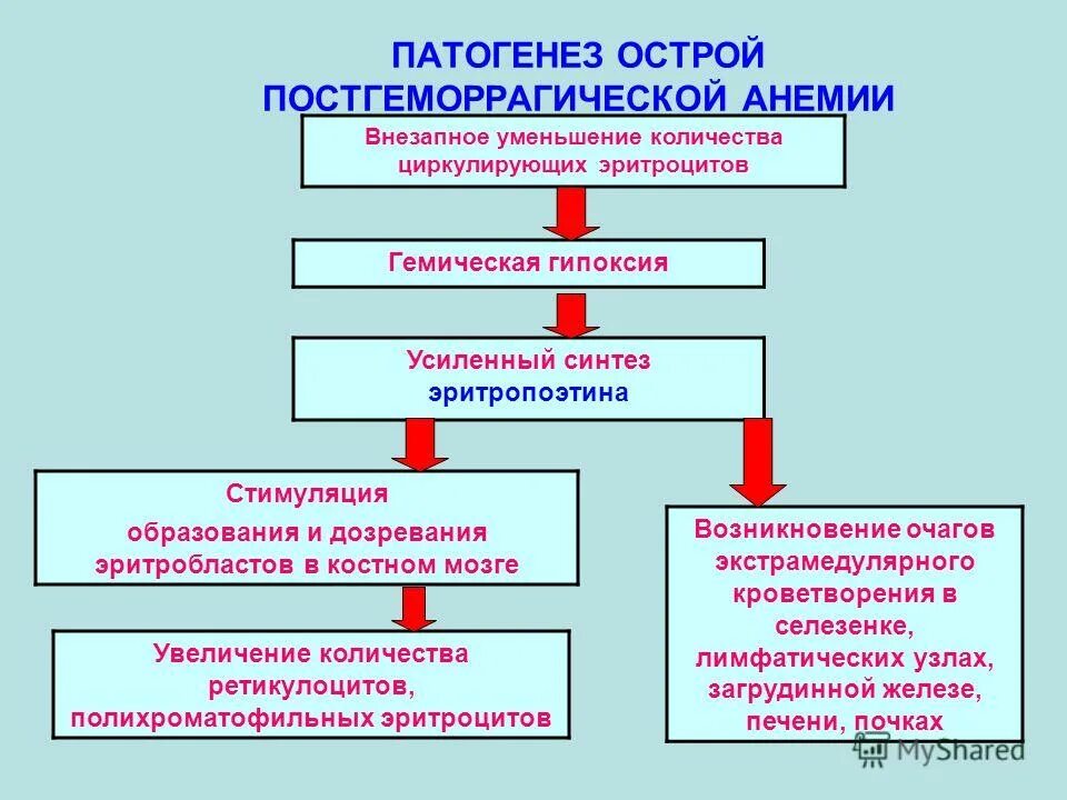 Анемия кома. Патогенез острой геморрагической анемии. Патогенез постгеморрагической анемии. Хроническая постгеморрагическая анемия механизм. Причины острой постгеморрагической анемии.