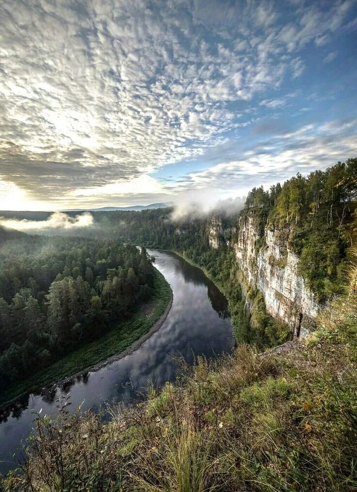 Река ай южный урал. Красота рек. Красота рек. Таежный болотистые озера. Природа лес озеро.