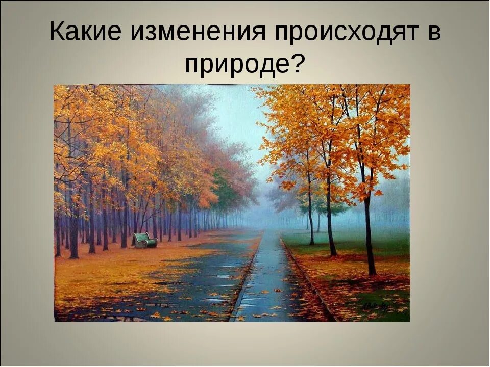 Действие происходит осенью. Осень сезонные изменения. Изменения в природе осенью. Сезонные изменения в природе осень. Явления осени.