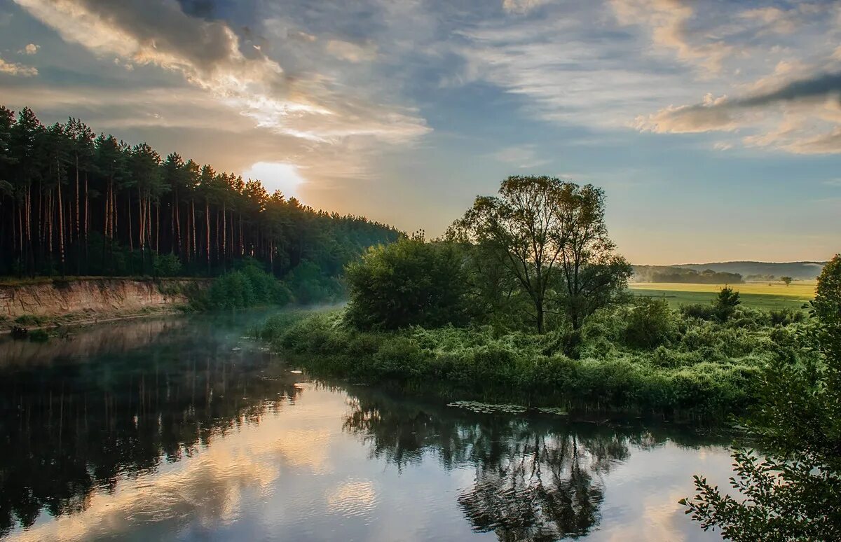 Шерна река Киржач. Курская область природа. Река Сейм Карыж. Река Сейм Курская область.