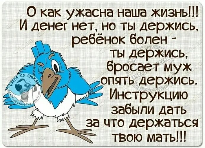 Мама держись папа держись. О как ужасна наша жизнь. Держись мать. За что держаться Вашу мать стих.