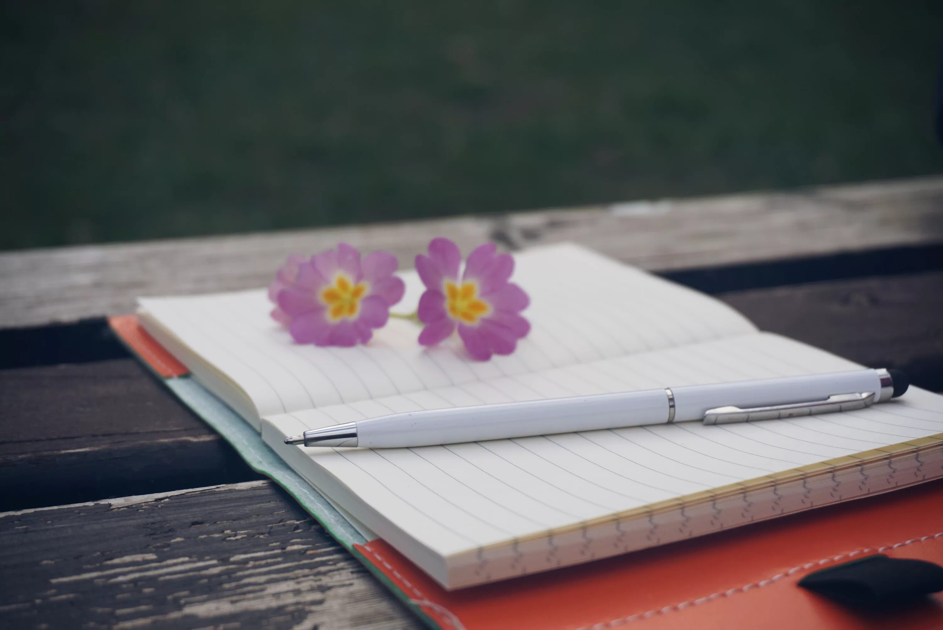 Now write in your notebooks