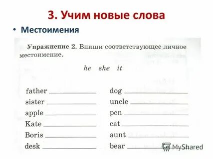 Урок английского местоимения 3 класс