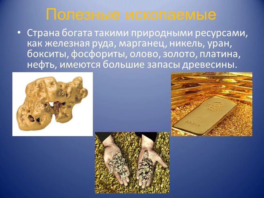 Полезные ископаемые золото. Золото полезное ископаемое. Доклад про золото. Сообщение о полезных ископаемых золото. Золото доклад 3 класс