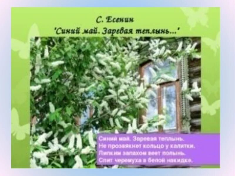 Липкий запах. Синий май заревая теплынь есенин. Духи мечеть. Обезжириватель дезинфектор жидкость для снятия липкого слоя. Липкий запах.