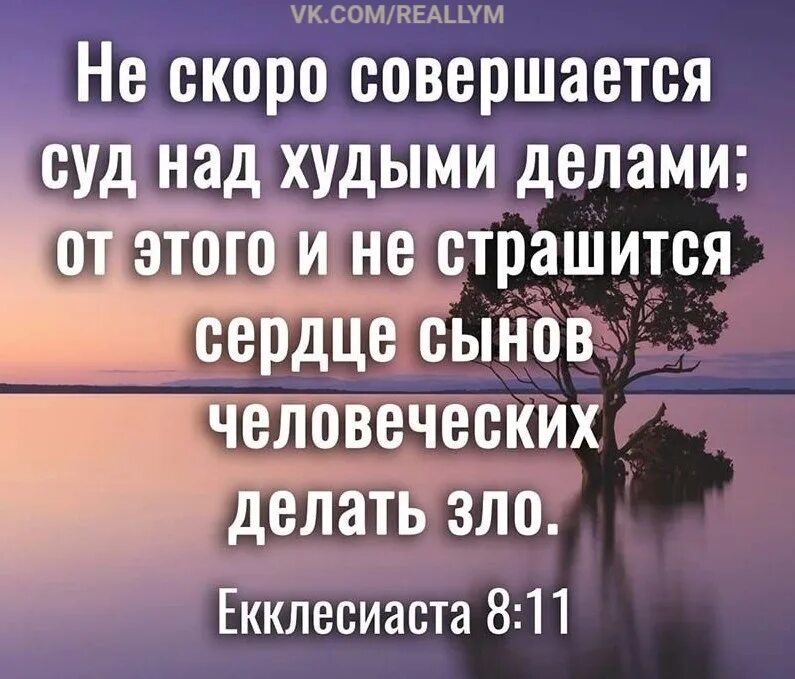 Библия стихи. Царство небесное из библии. Стих дня из библии. Библия стих 20. Золотые стихи из библии.