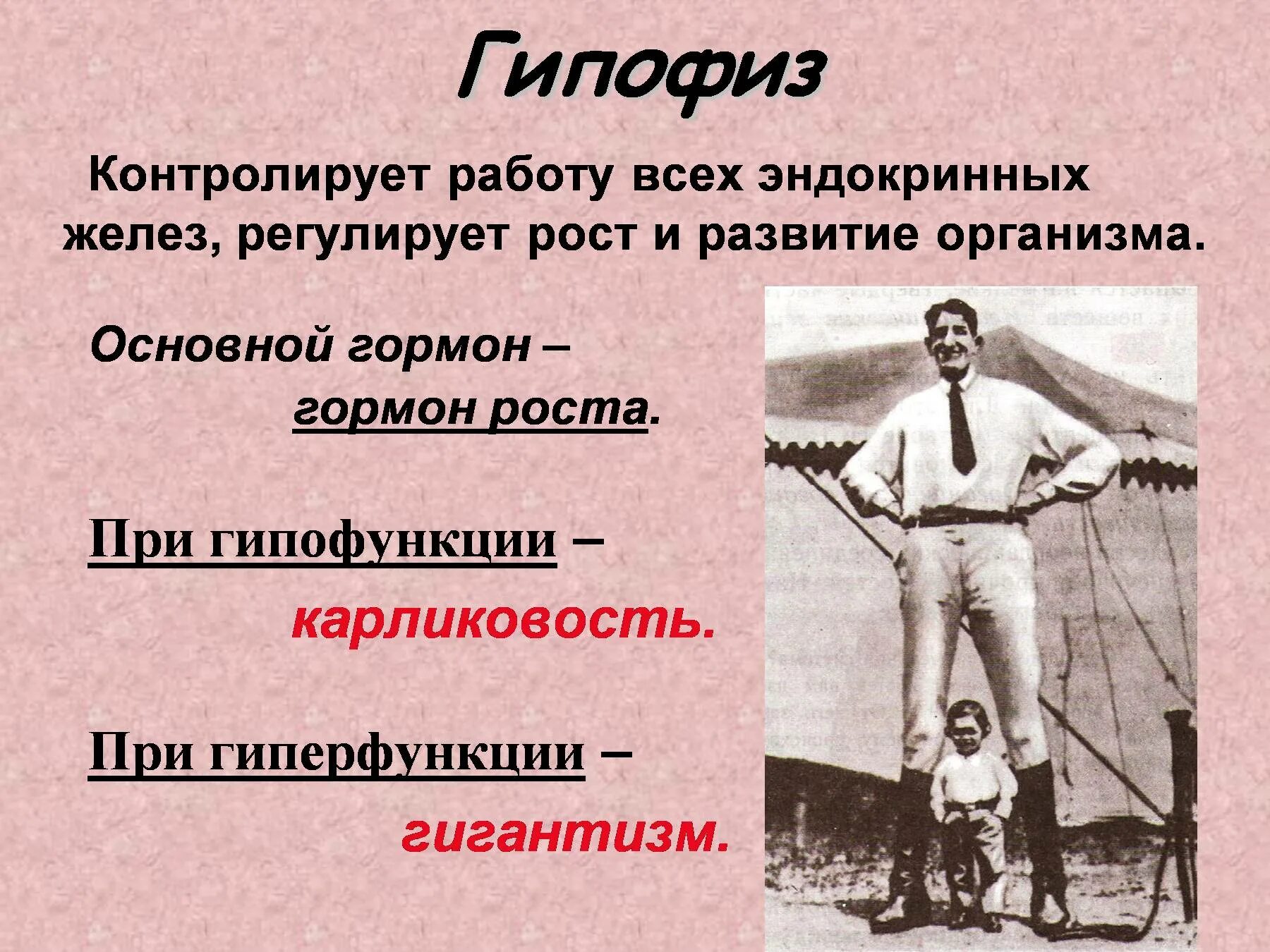 Заболевание гормона роста. Гипо и гиперфункция гормона роста. Гипо и гиперфункция гормонов гипофиза. Гигантизм и карликовость. Гипофиз гипофункция и гиперфункция.