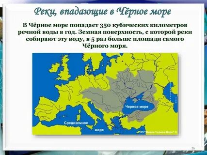 Почему реки черные