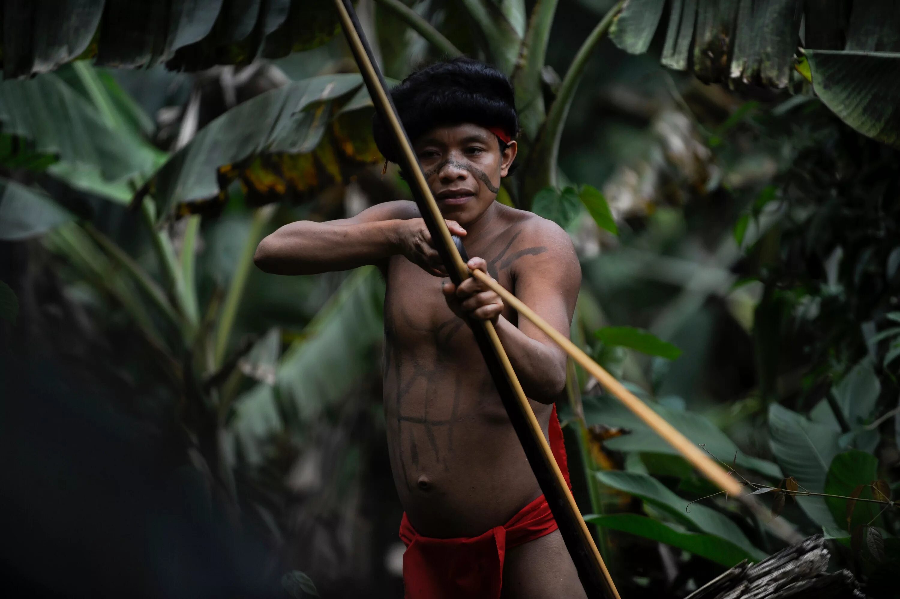 Спас в джунглях. Индейцы амазонки Яномами. Амазонка индейцы яномамо. Индейцы Бразилии яномамо.