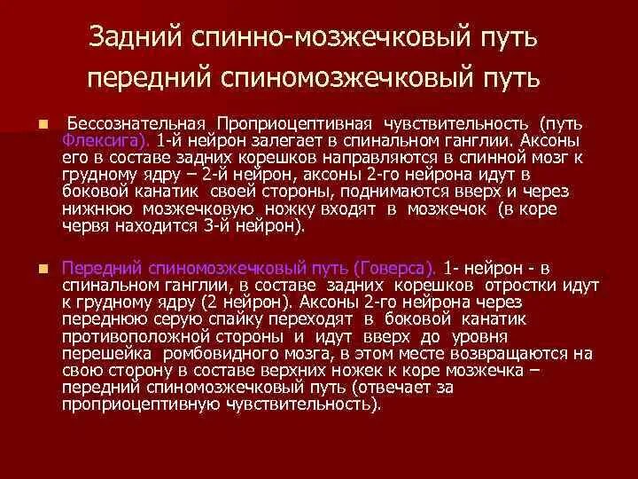 Спинно мозжечковый. Передний спинно-мозжечковый путь Флексига. Задний спинно-мозжечковый путь. Задний спиномозжечковый путь функции. Передний спинно-мозжечковый.